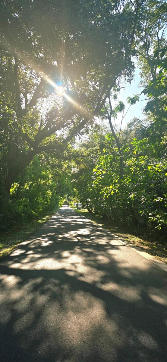 505 E GULLEY AVE, WINTER GARDEN, FL, 34787