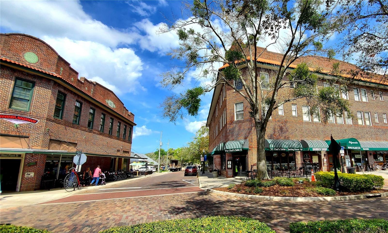 505 E GULLEY AVE, WINTER GARDEN, FL, 34787