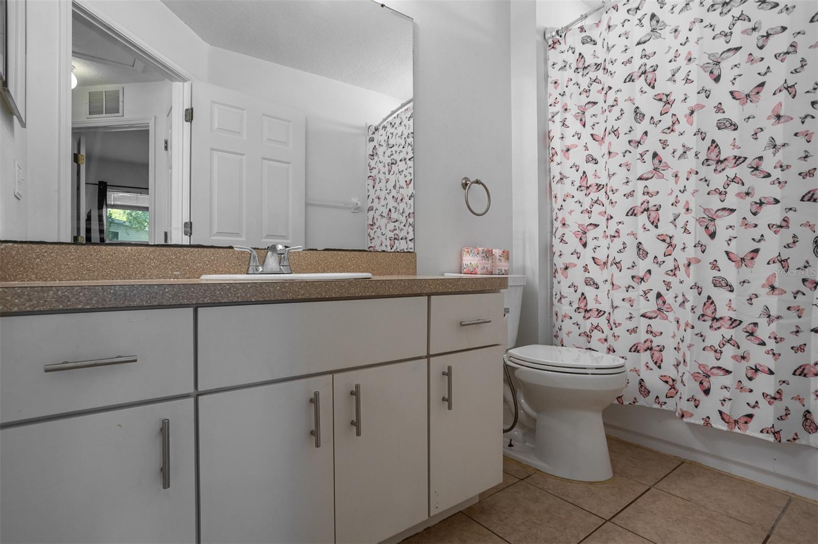 10401 LAKESIDE VISTA DR, RIVERVIEW, FL, 33569