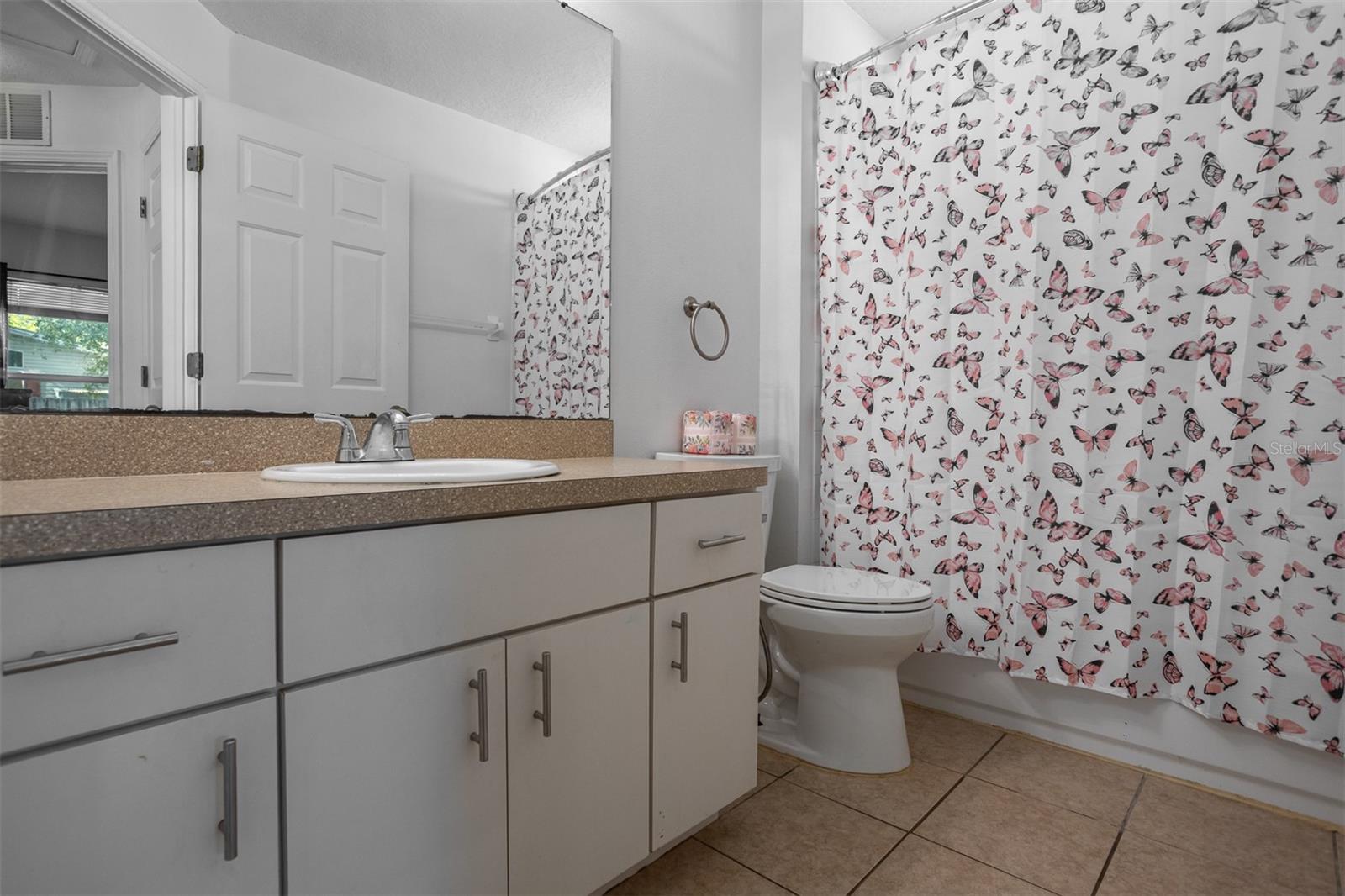 10401 LAKESIDE VISTA DR, RIVERVIEW, FL, 33569