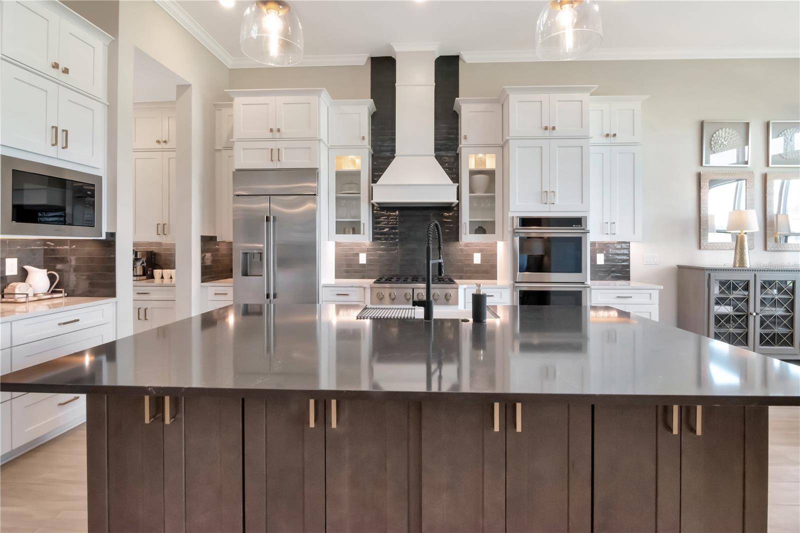 33773 OCEAN SPRAY LN, WESLEY CHAPEL, FL, 33543