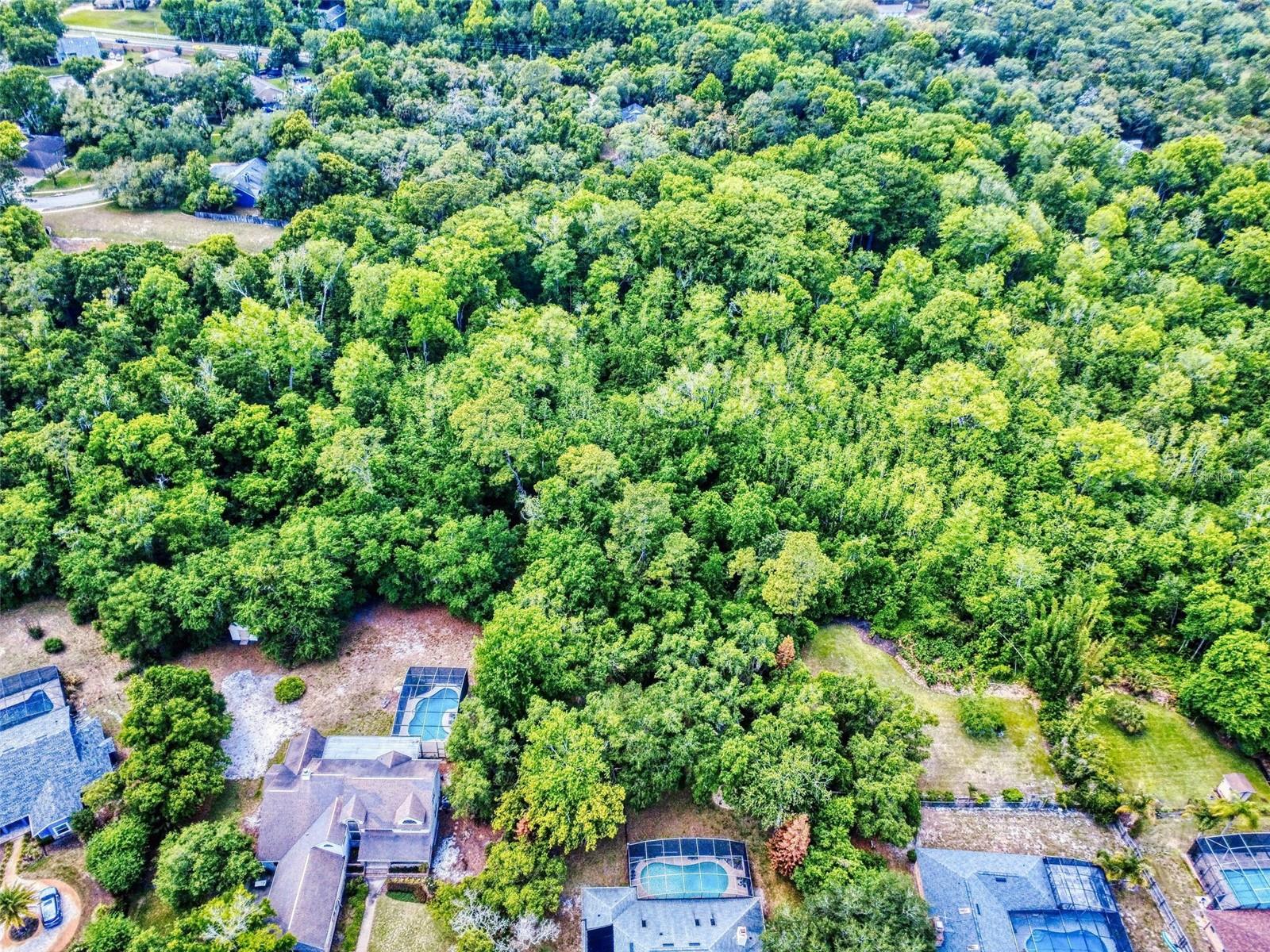 616 MOURNING DOVE CIR, LAKE MARY, FL, 32746