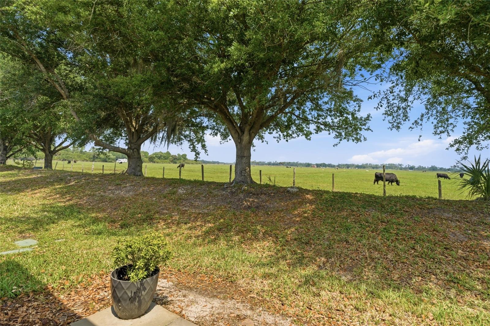 8834 TUSCANY ISLES DR, PUNTA GORDA, FL, 33950