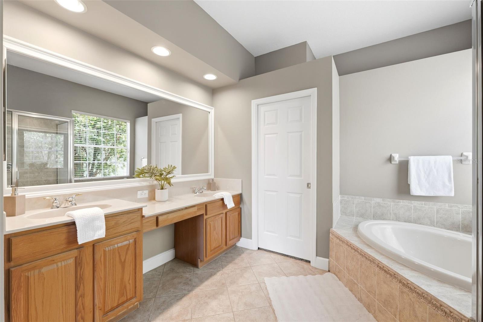 11627 BRISTOL CHASE DR, TAMPA, FL, 33626