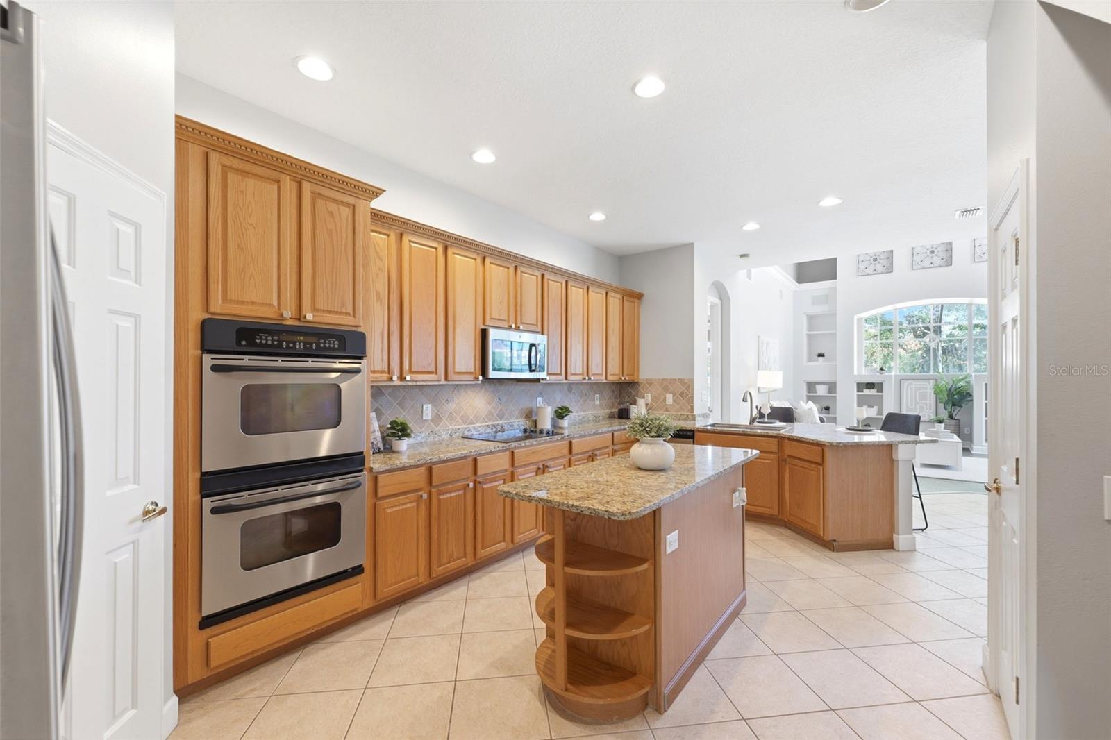 11627 BRISTOL CHASE DR, TAMPA, FL, 33626