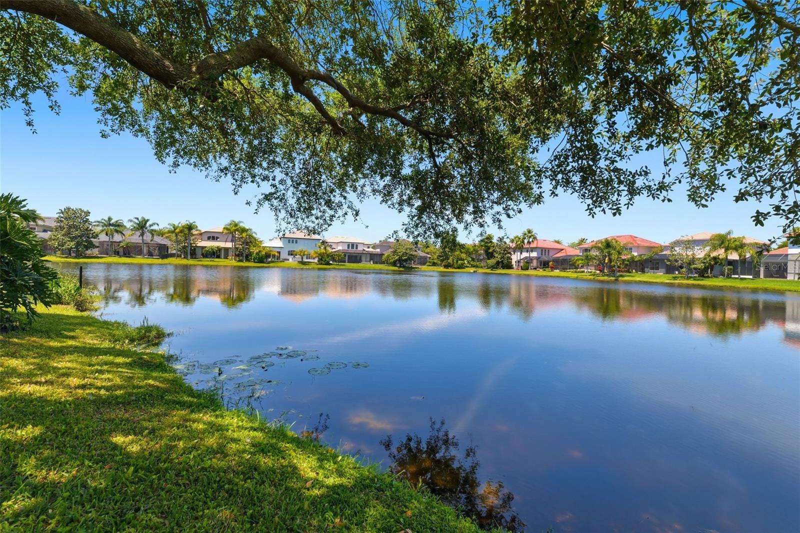 11627 BRISTOL CHASE DR, TAMPA, FL, 33626