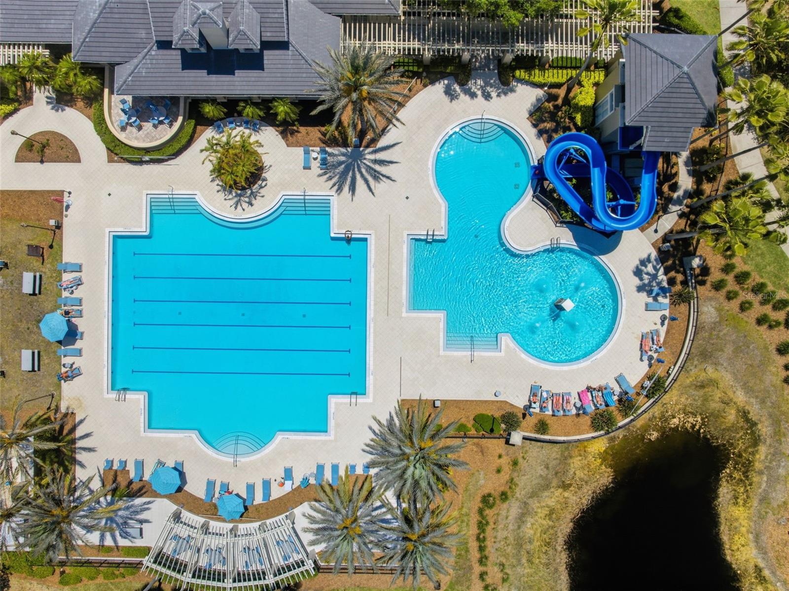 11627 BRISTOL CHASE DR, TAMPA, FL, 33626