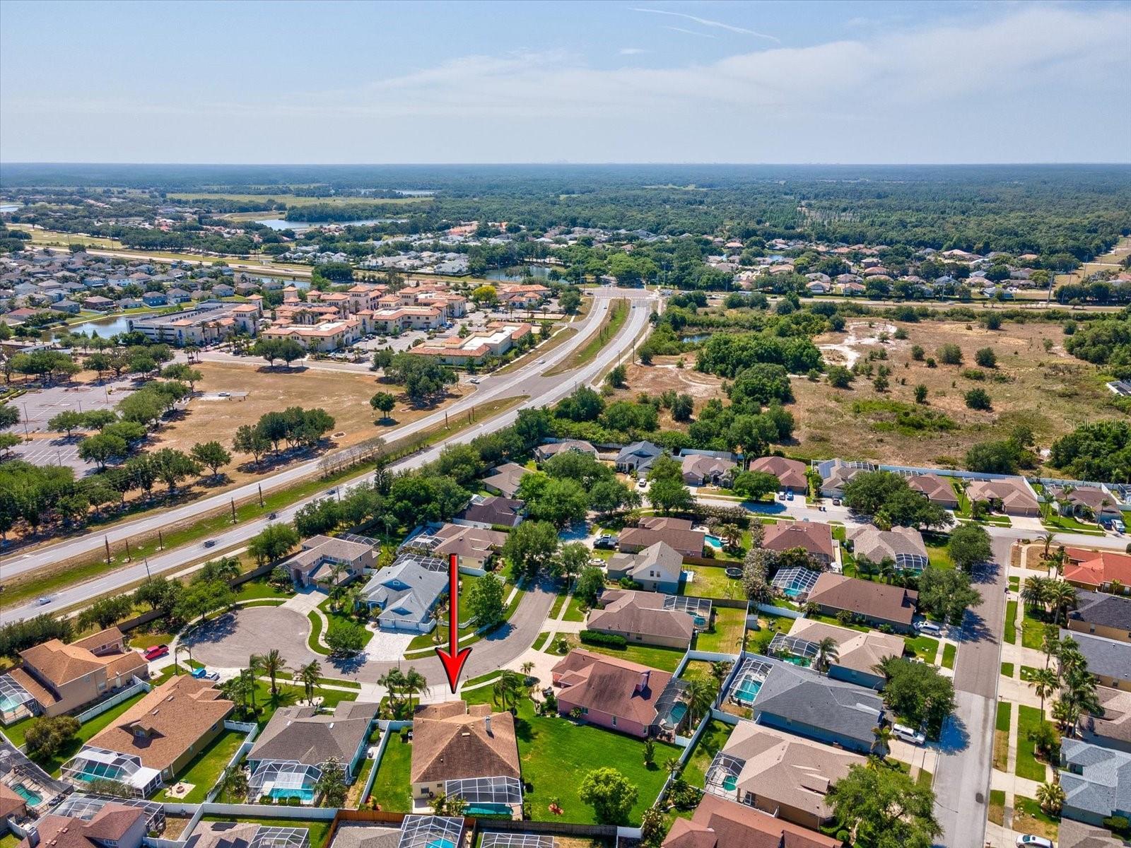 8843 TORCHWOOD DR, TRINITY, FL, 34655