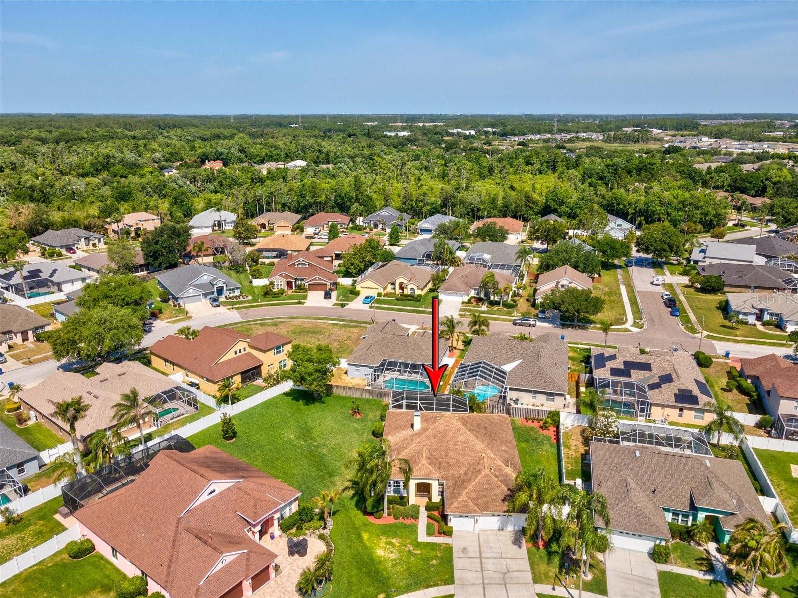 8843 TORCHWOOD DR, TRINITY, FL, 34655