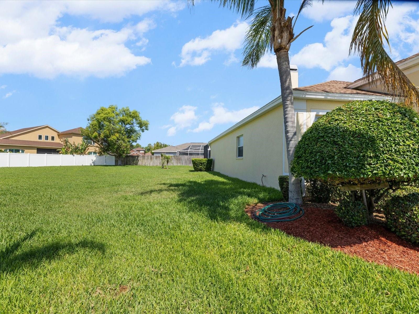 8843 TORCHWOOD DR, TRINITY, FL, 34655