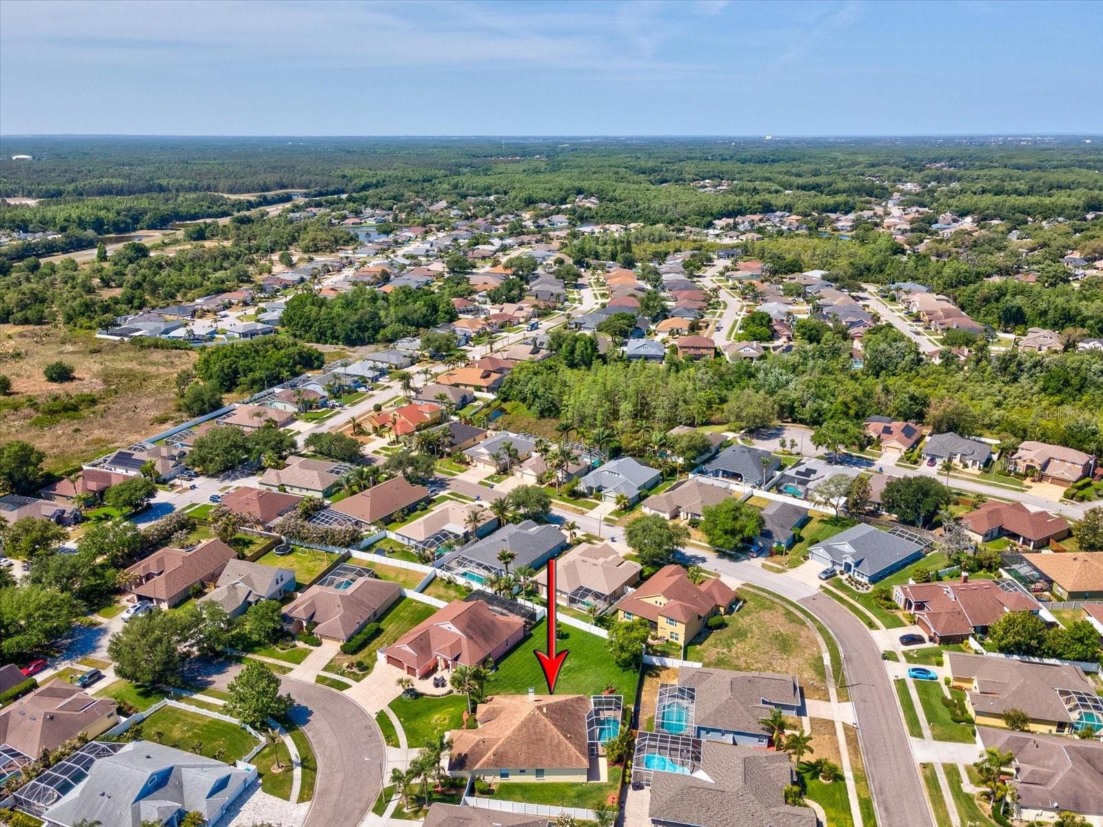 8843 TORCHWOOD DR, TRINITY, FL, 34655