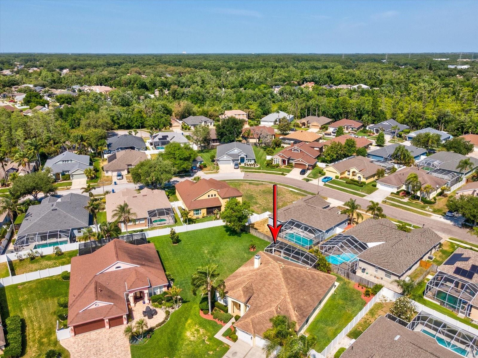 8843 TORCHWOOD DR, TRINITY, FL, 34655