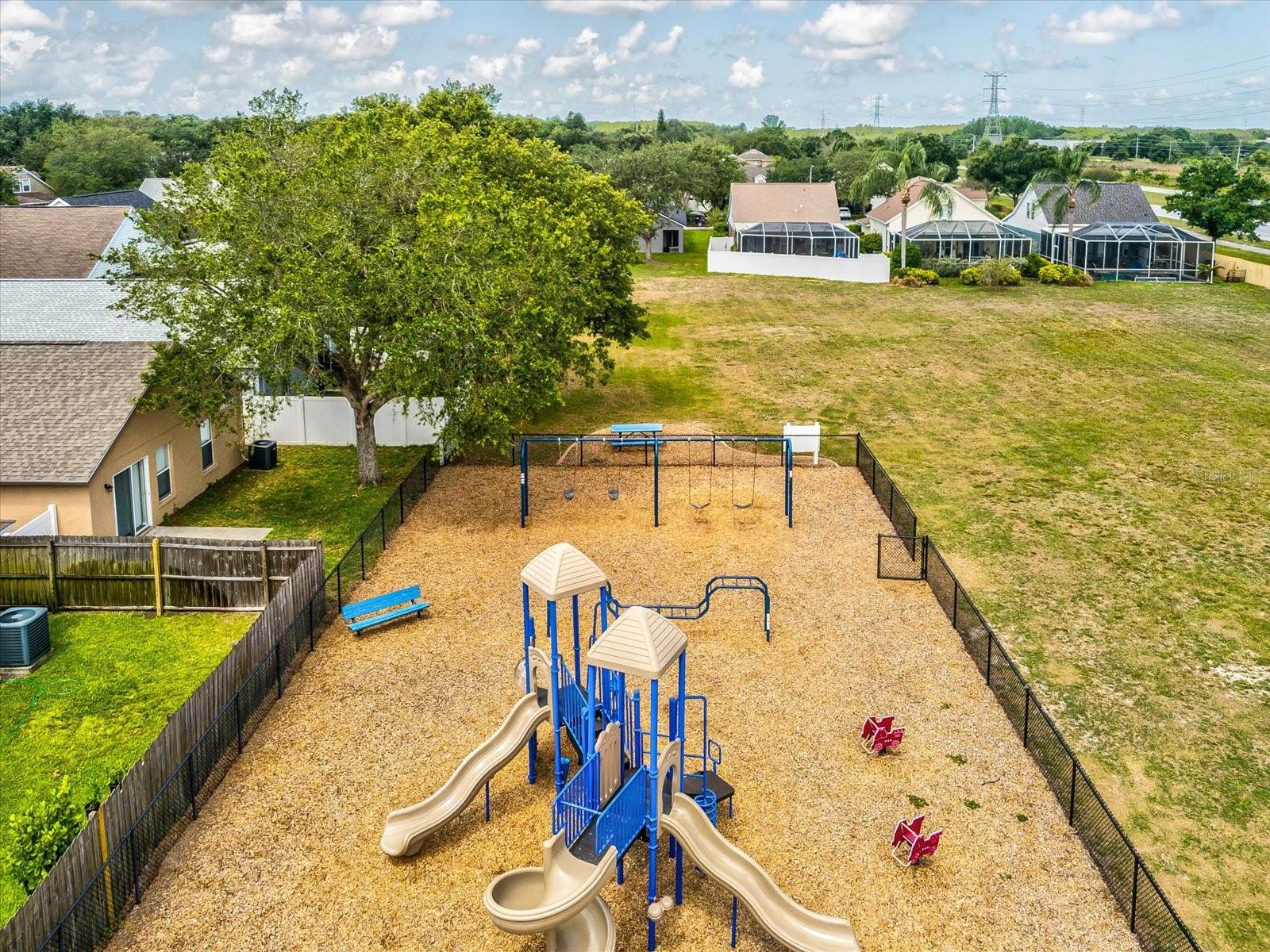 8843 TORCHWOOD DR, TRINITY, FL, 34655