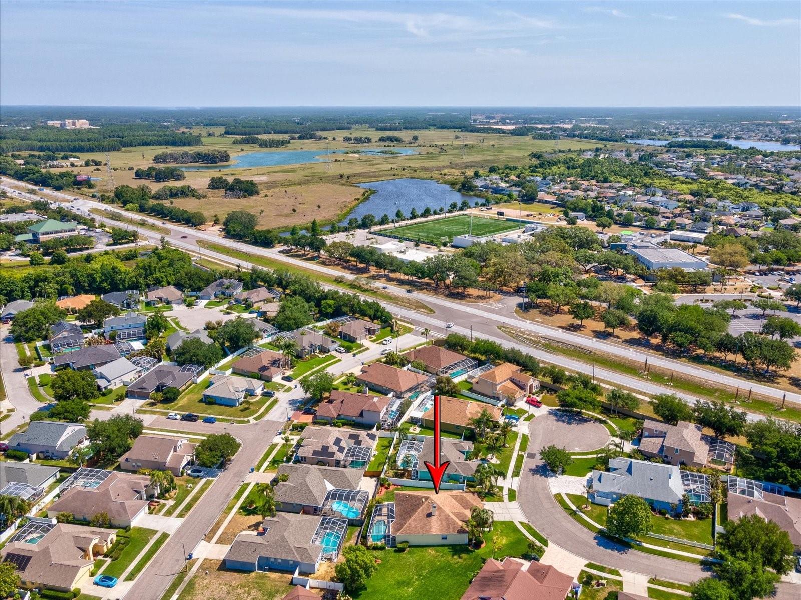 8843 TORCHWOOD DR, TRINITY, FL, 34655