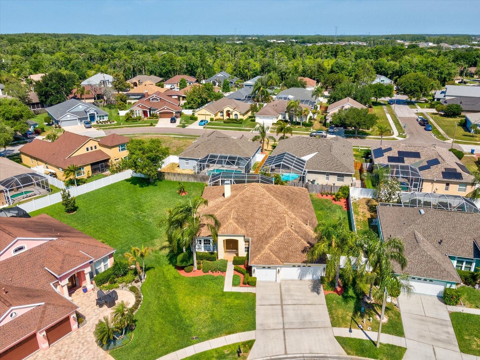 8843 TORCHWOOD DR, TRINITY, FL, 34655