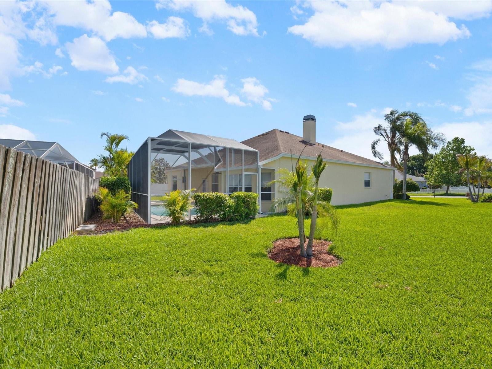 8843 TORCHWOOD DR, TRINITY, FL, 34655