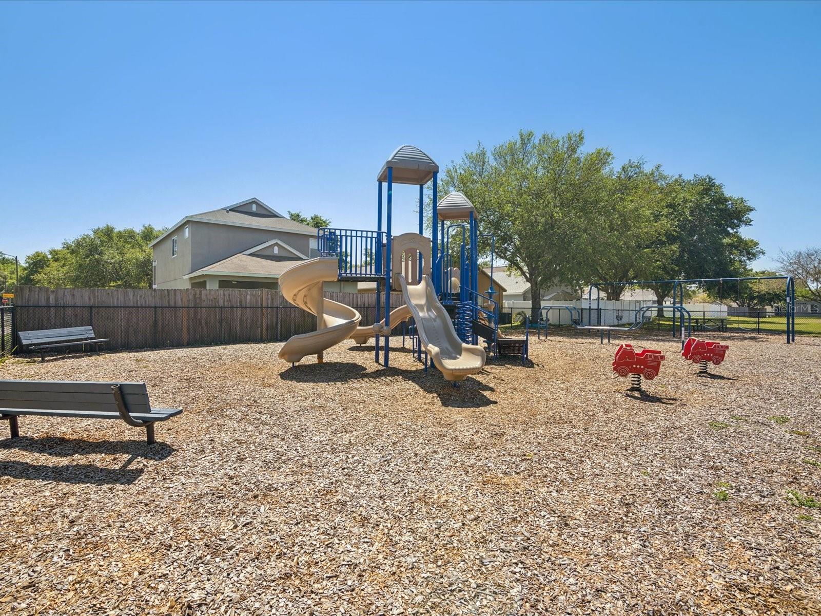 8843 TORCHWOOD DR, TRINITY, FL, 34655