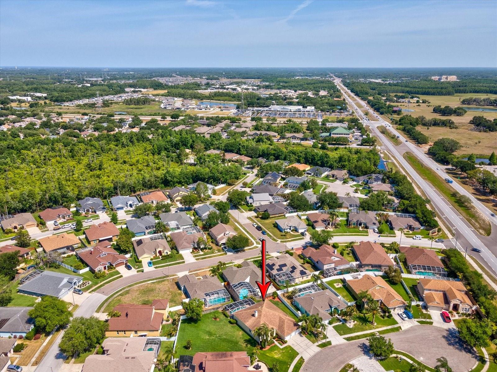 8843 TORCHWOOD DR, TRINITY, FL, 34655