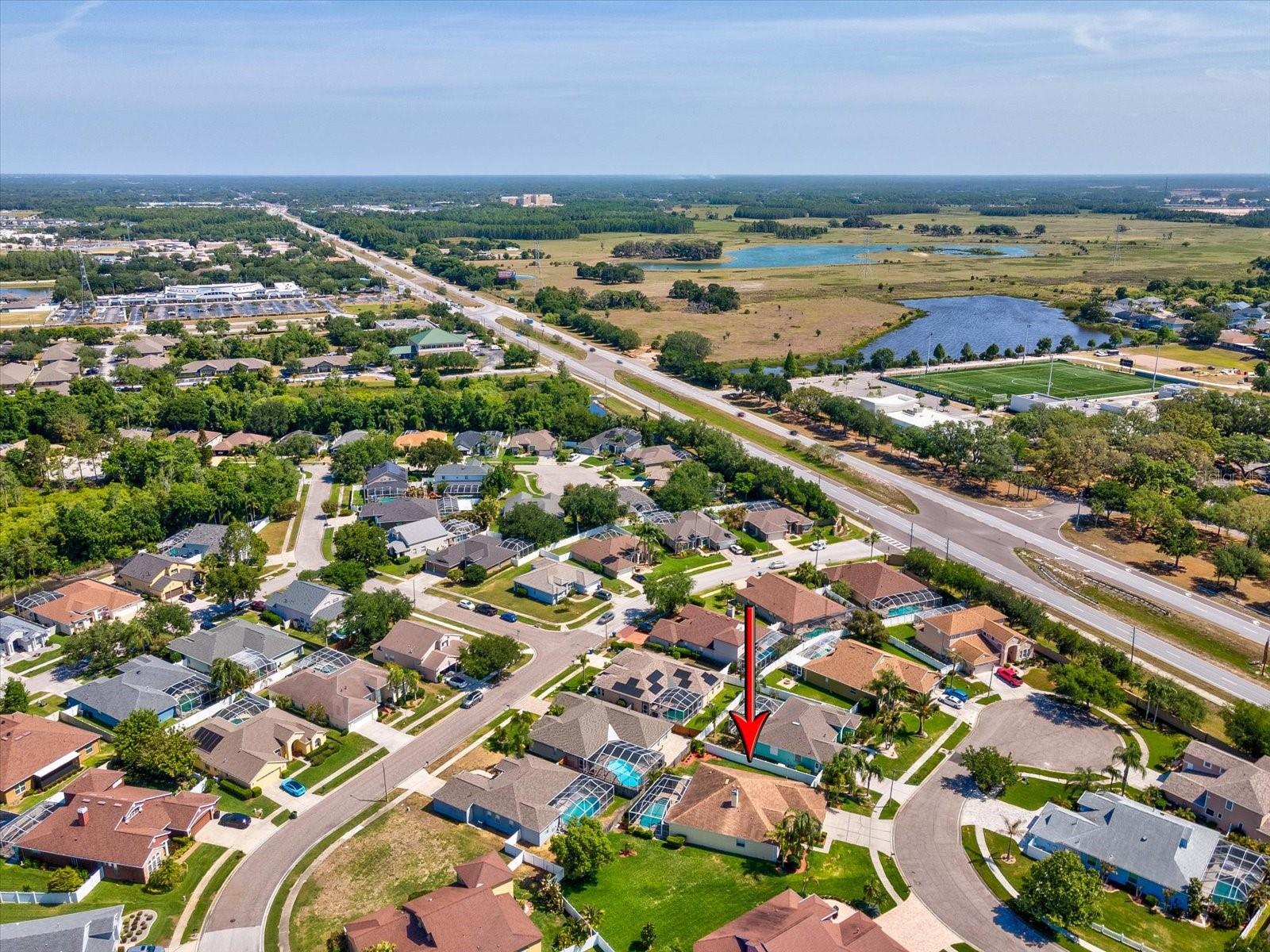 8843 TORCHWOOD DR, TRINITY, FL, 34655