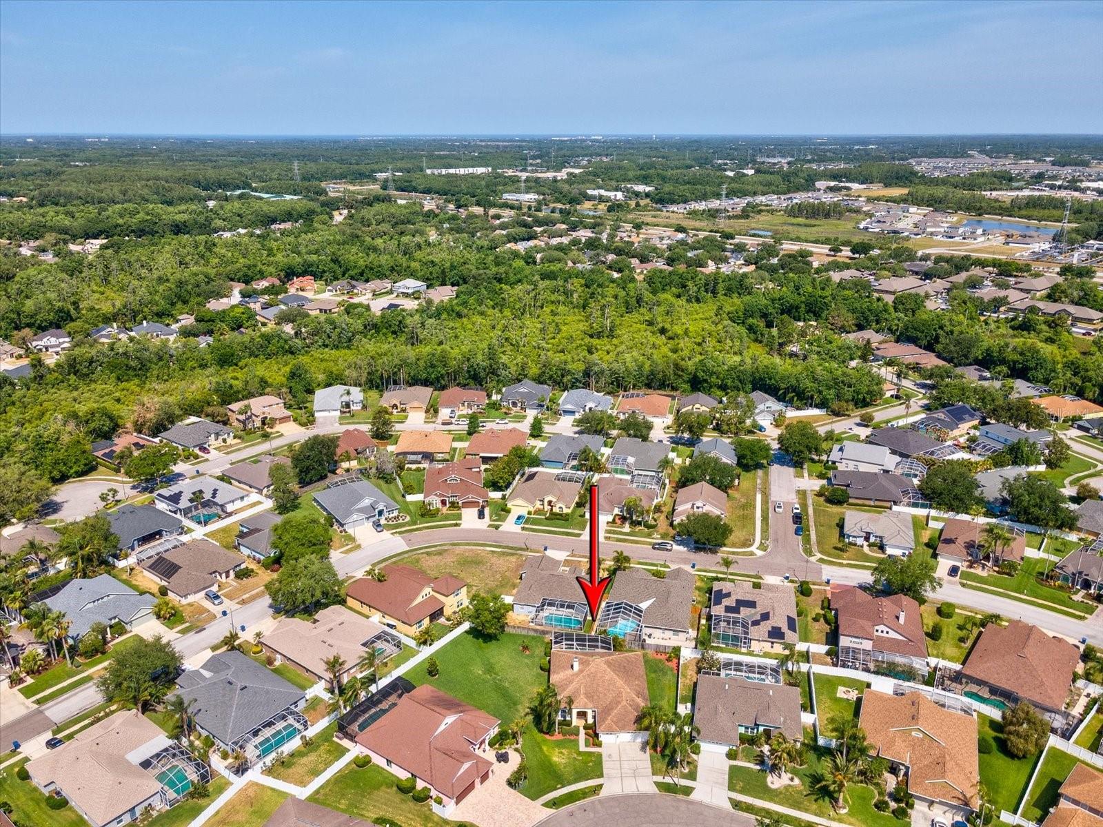 8843 TORCHWOOD DR, TRINITY, FL, 34655