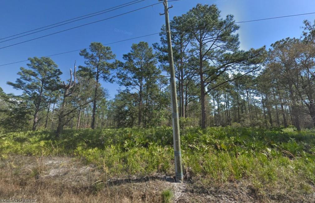 10610 YEAGER AVE, HASTINGS, FL, 32145