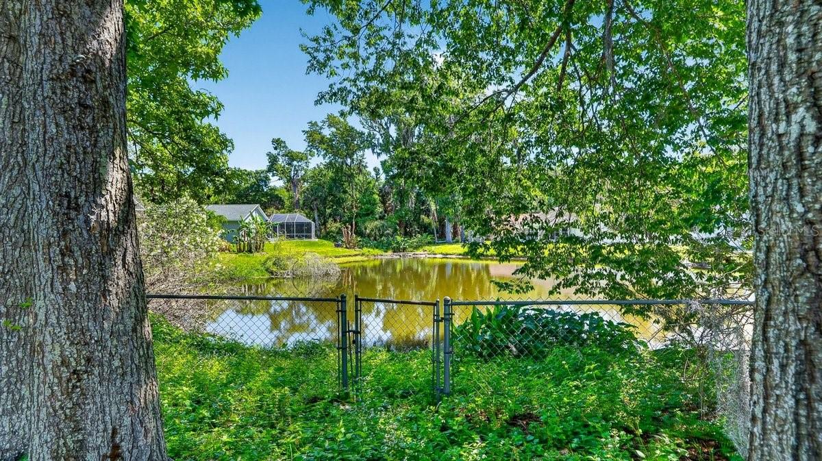 1116 MEDITATION LOOP, PORT ORANGE, FL, 32129