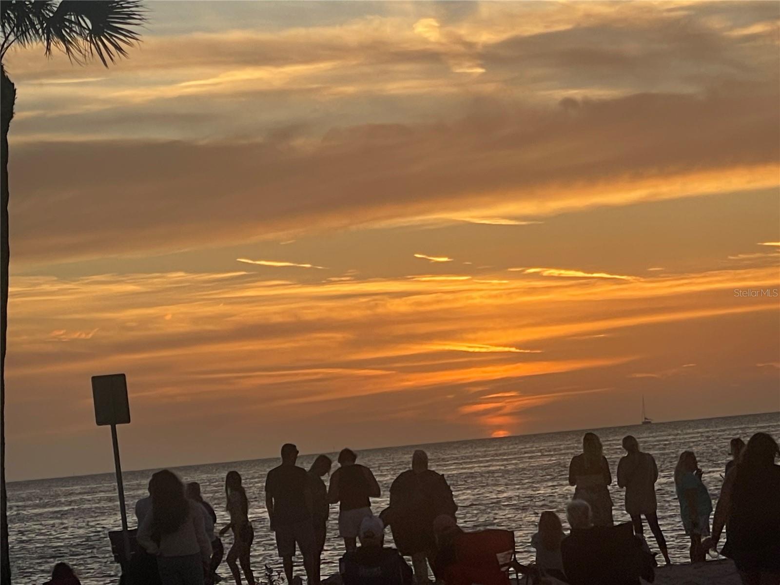 2530 GARY CIR #802, DUNEDIN, FL, 34698