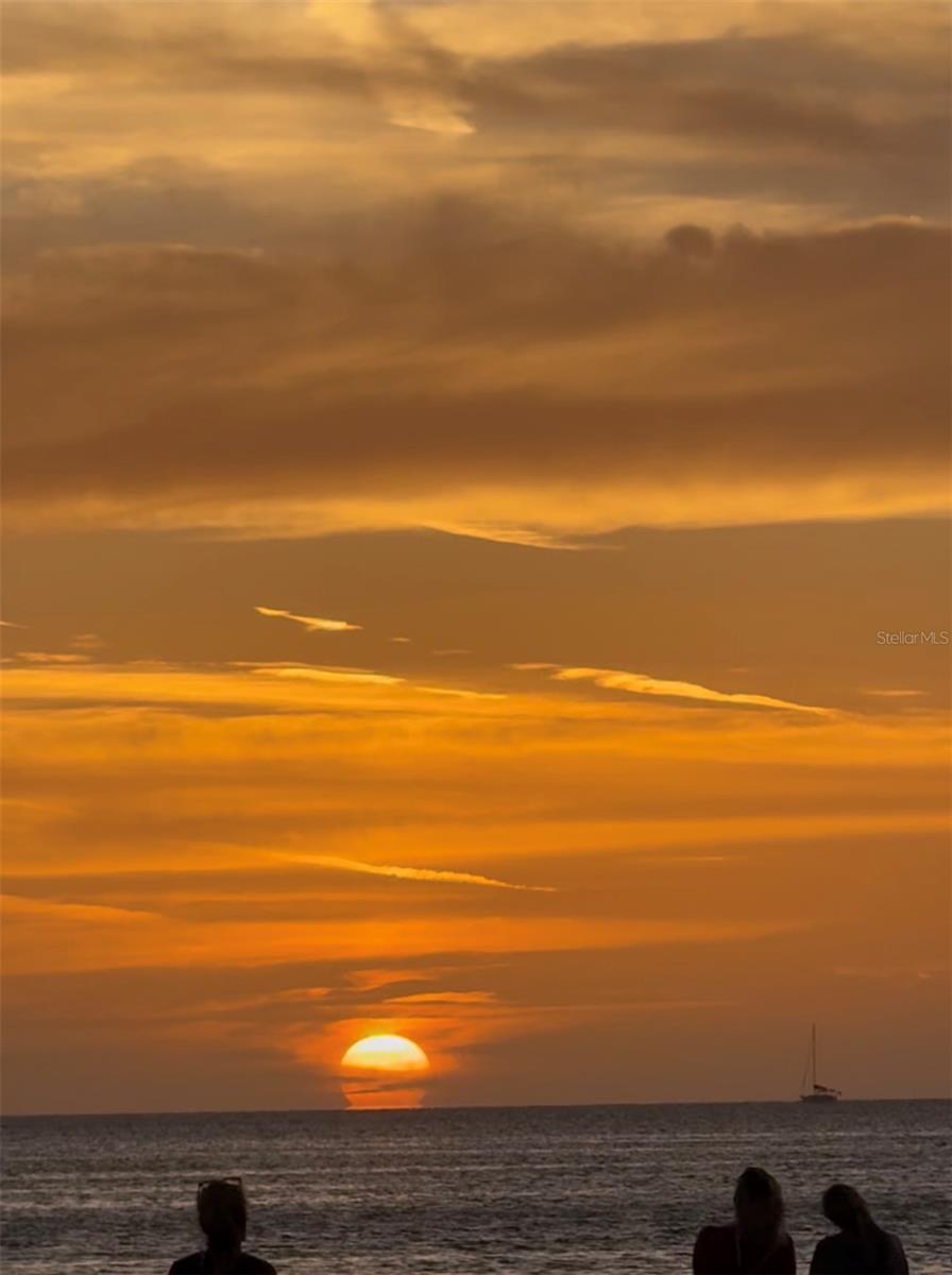 2530 GARY CIR #802, DUNEDIN, FL, 34698