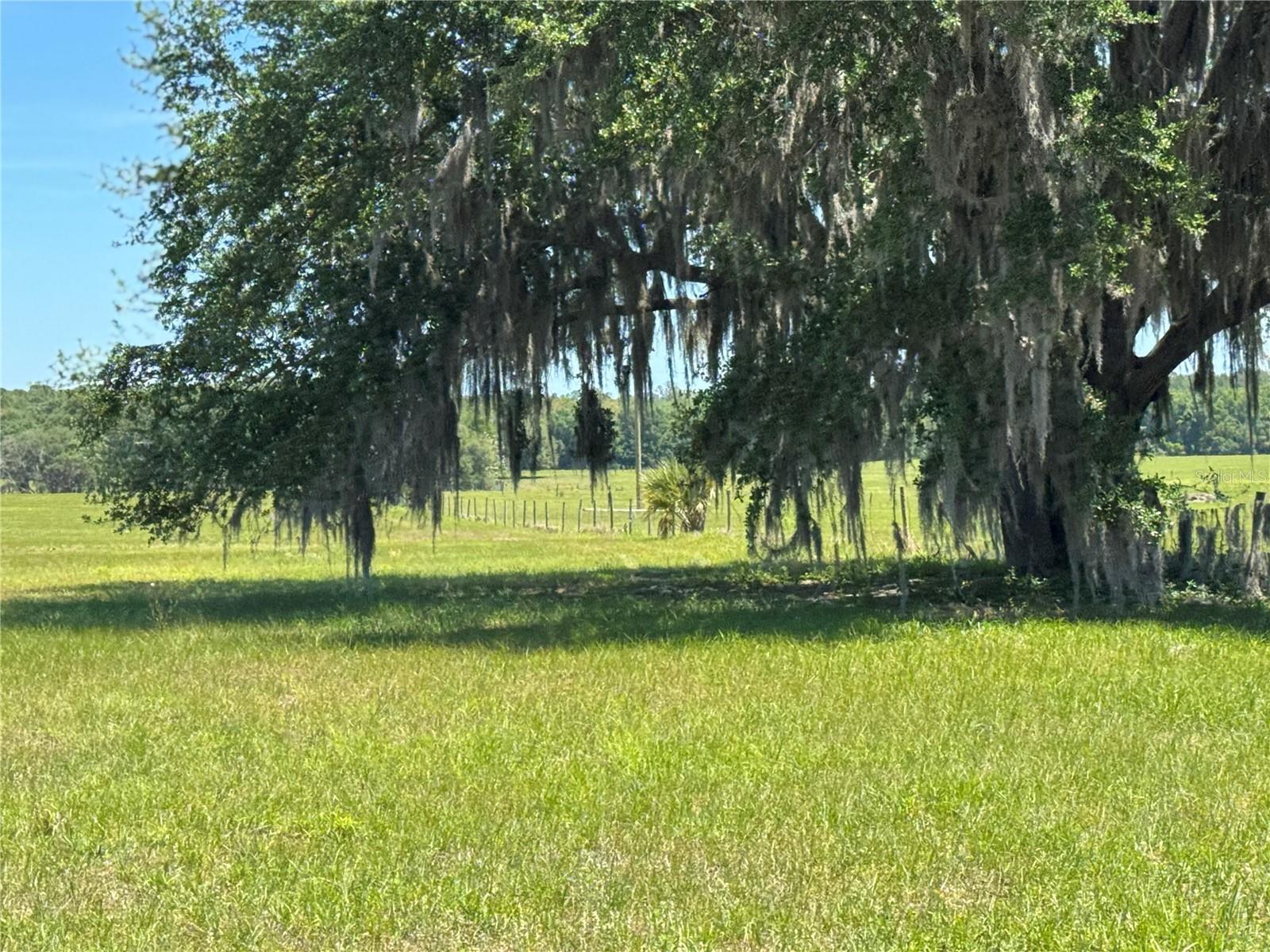 4401 GRIFFIN VIEW DR, LADY LAKE, FL, 32159