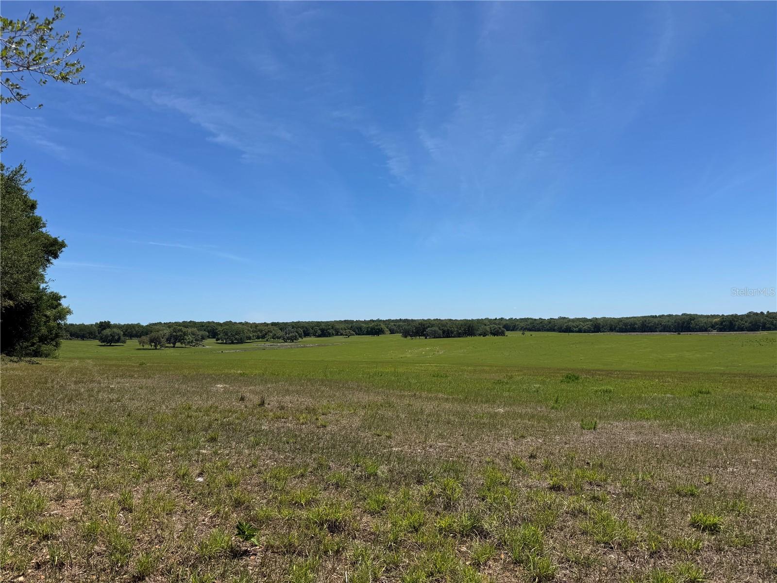 4401 GRIFFIN VIEW DR, LADY LAKE, FL, 32159