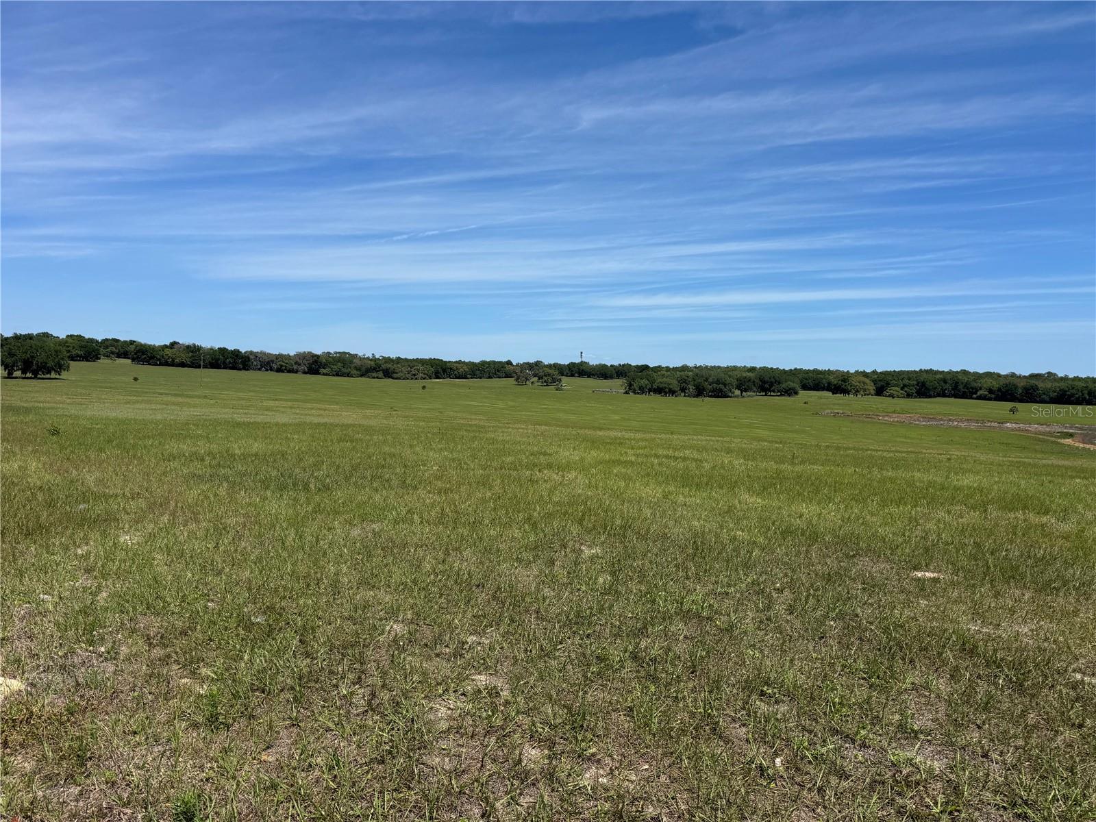 4401 GRIFFIN VIEW DR, LADY LAKE, FL, 32159