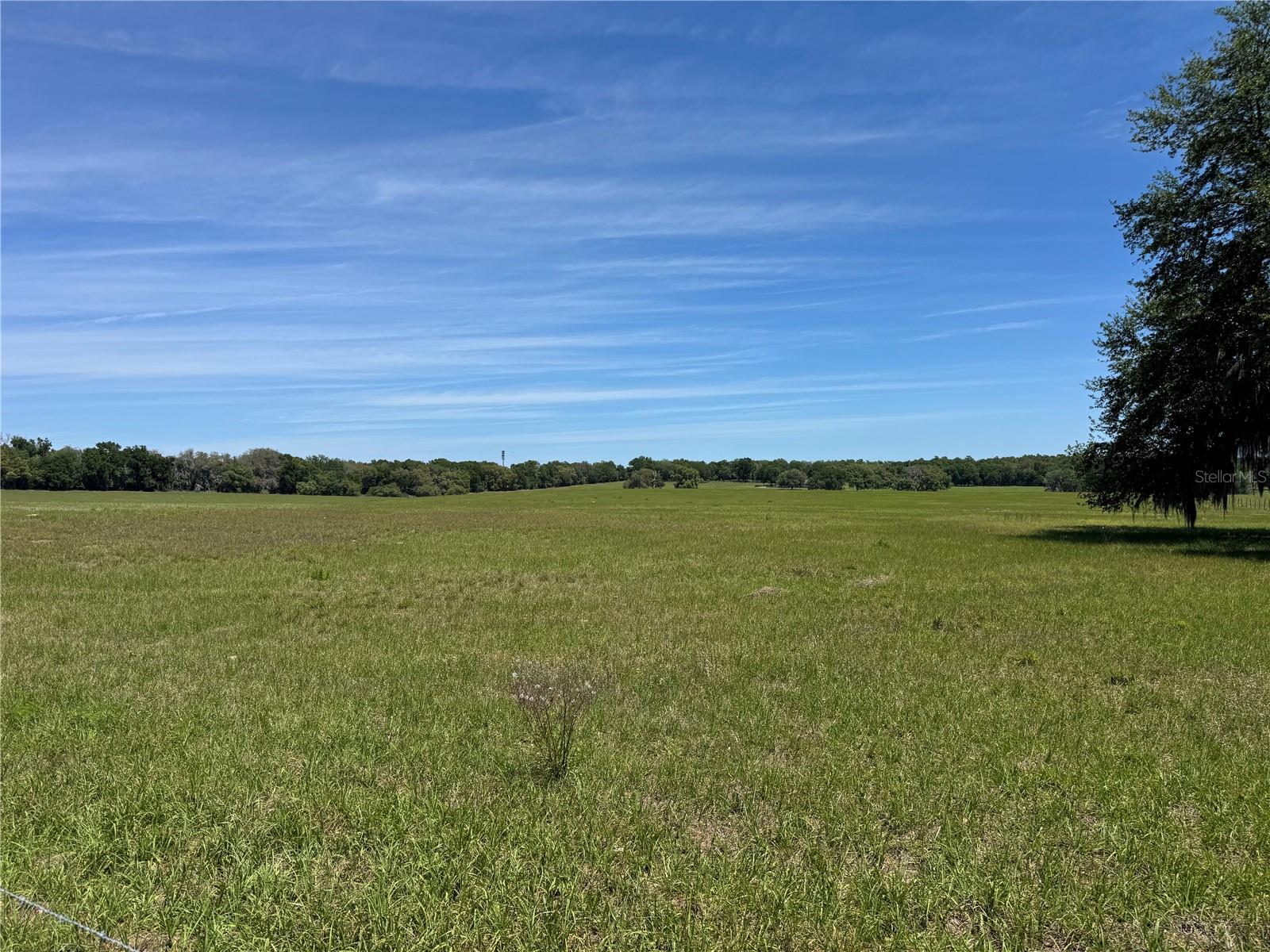 4401 GRIFFIN VIEW DR, LADY LAKE, FL, 32159