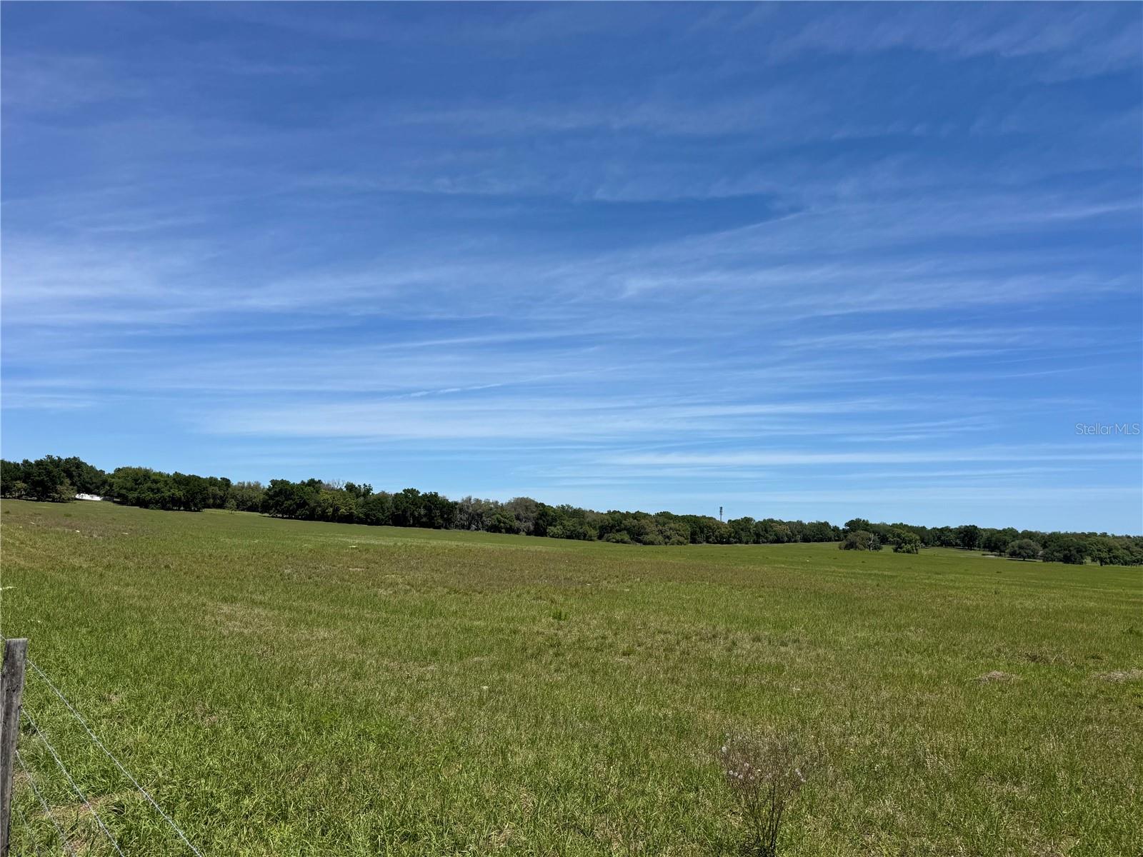 4401 GRIFFIN VIEW DR, LADY LAKE, FL, 32159