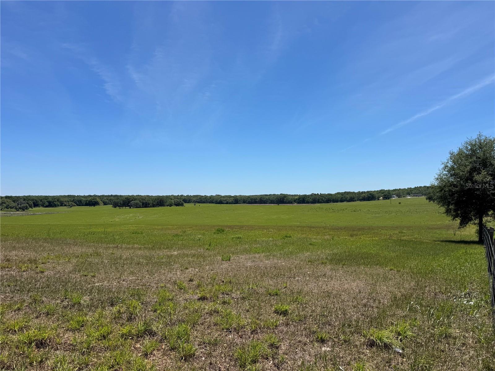 4401 GRIFFIN VIEW DR, LADY LAKE, FL, 32159