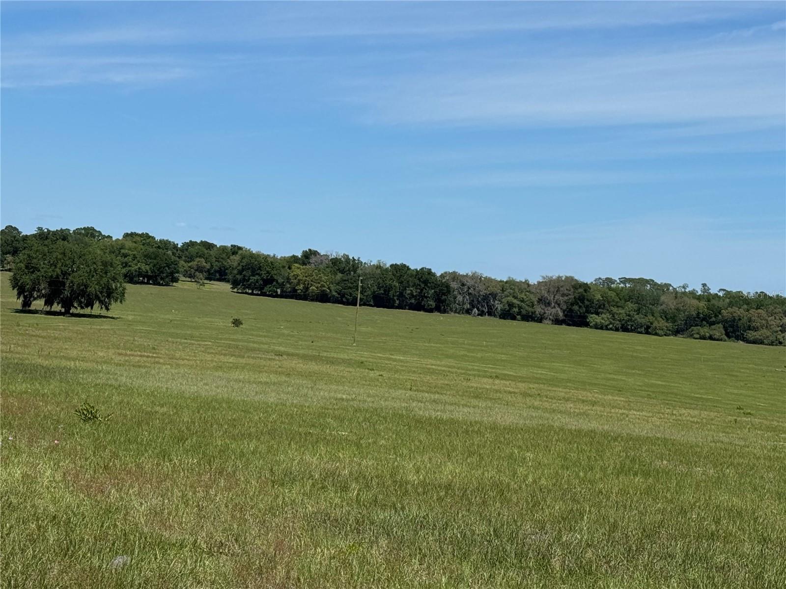 4401 GRIFFIN VIEW DR, LADY LAKE, FL, 32159