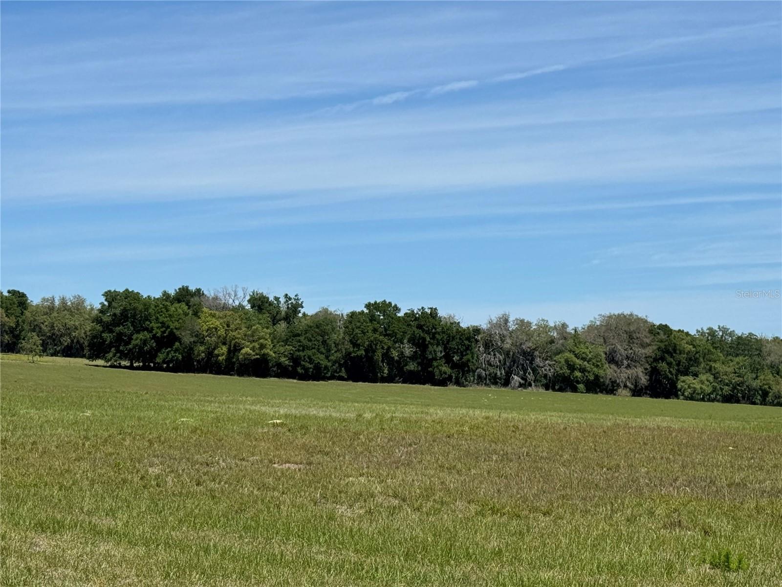 4401 GRIFFIN VIEW DR, LADY LAKE, FL, 32159