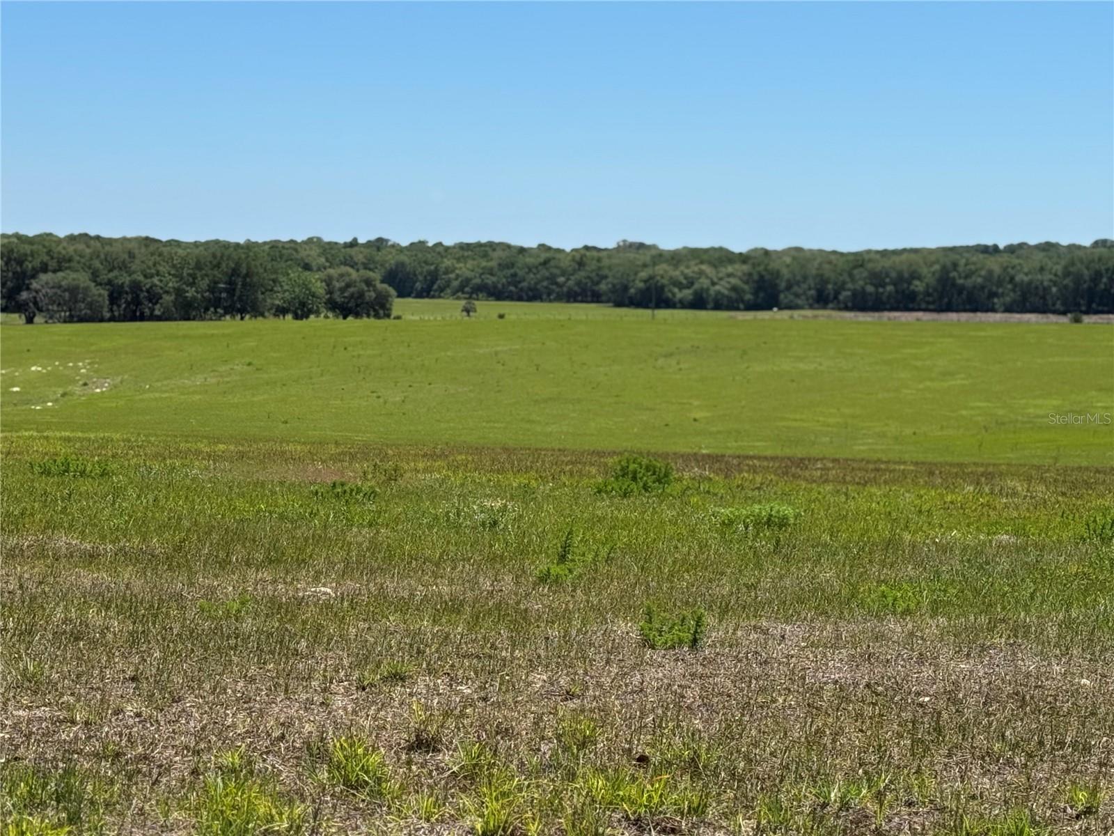 4401 GRIFFIN VIEW DR, LADY LAKE, FL, 32159