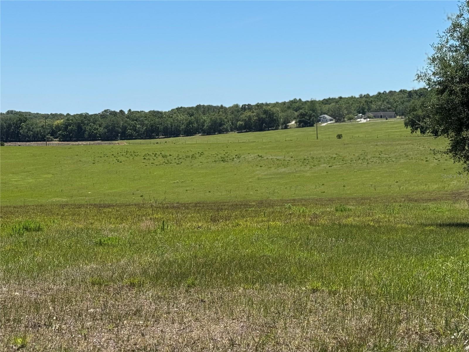 4401 GRIFFIN VIEW DR, LADY LAKE, FL, 32159