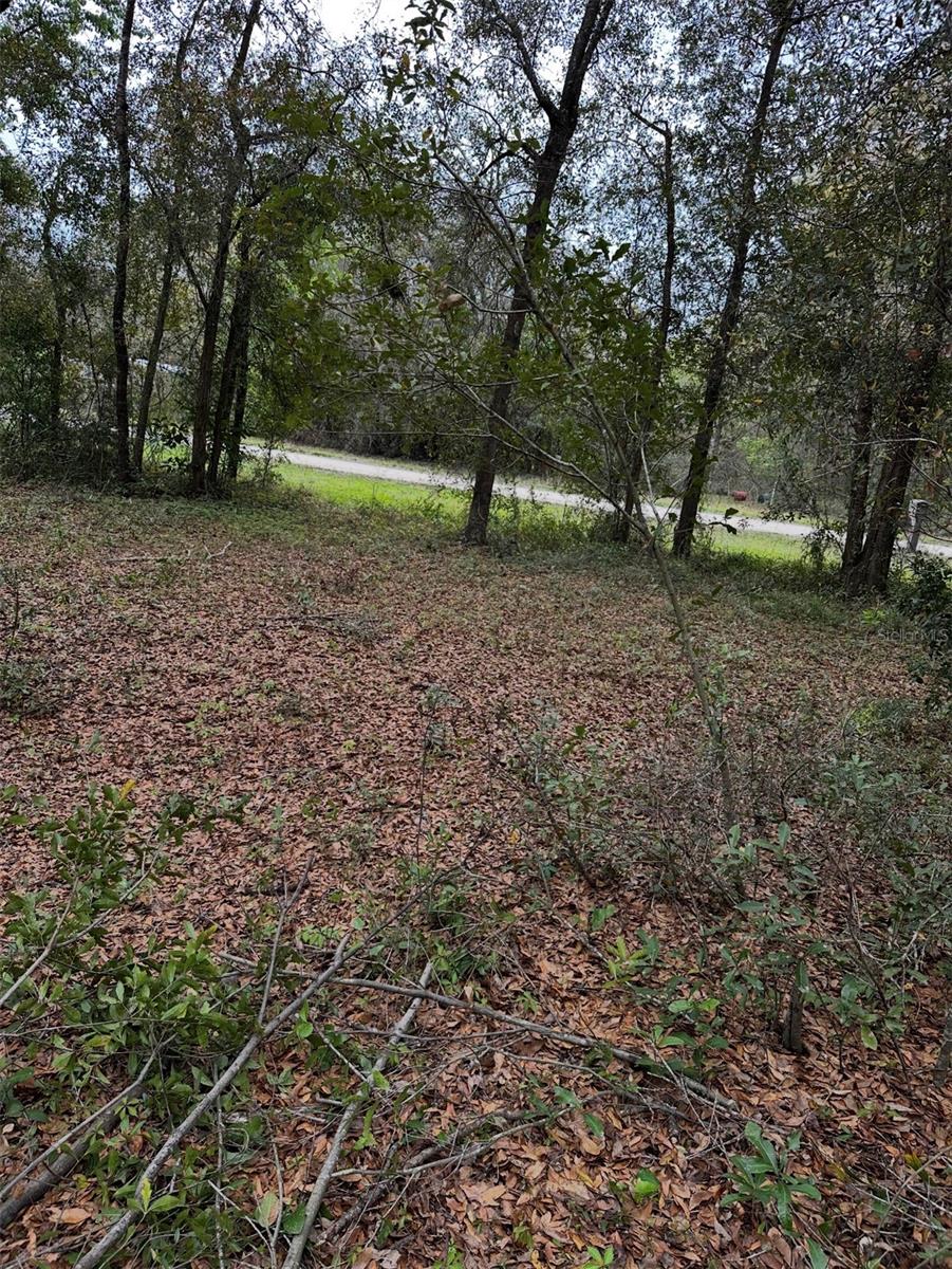 10871 NE 106TH CT, ARCHER, FL, 32618