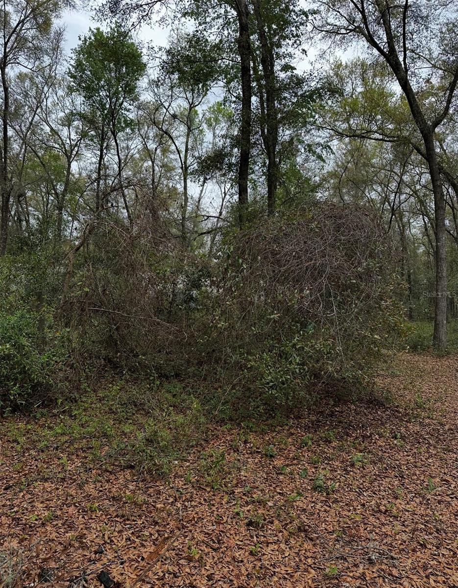 10871 NE 106TH CT, ARCHER, FL, 32618