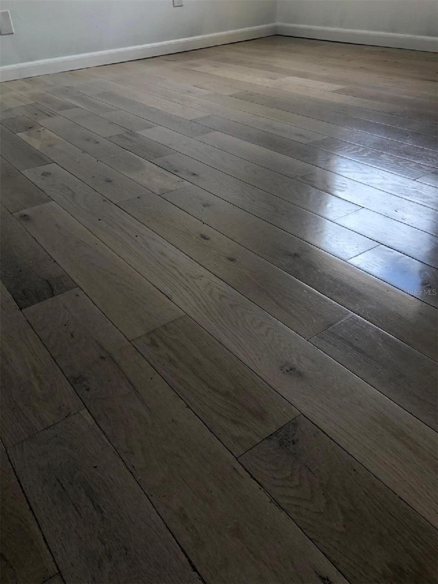 7501 GALLINETA CT, TAMPA, FL, 33615