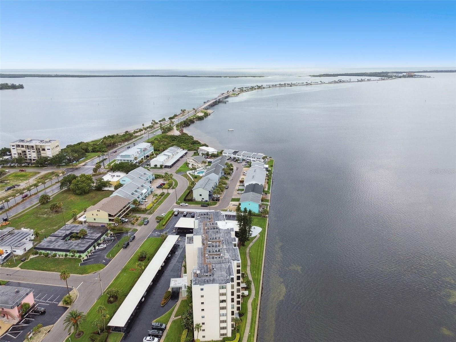 200 WOODETTE DR #803, DUNEDIN, FL, 34698