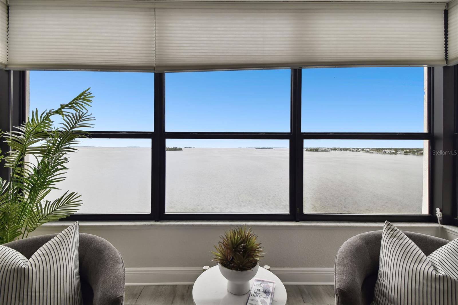 200 WOODETTE DR #803, DUNEDIN, FL, 34698