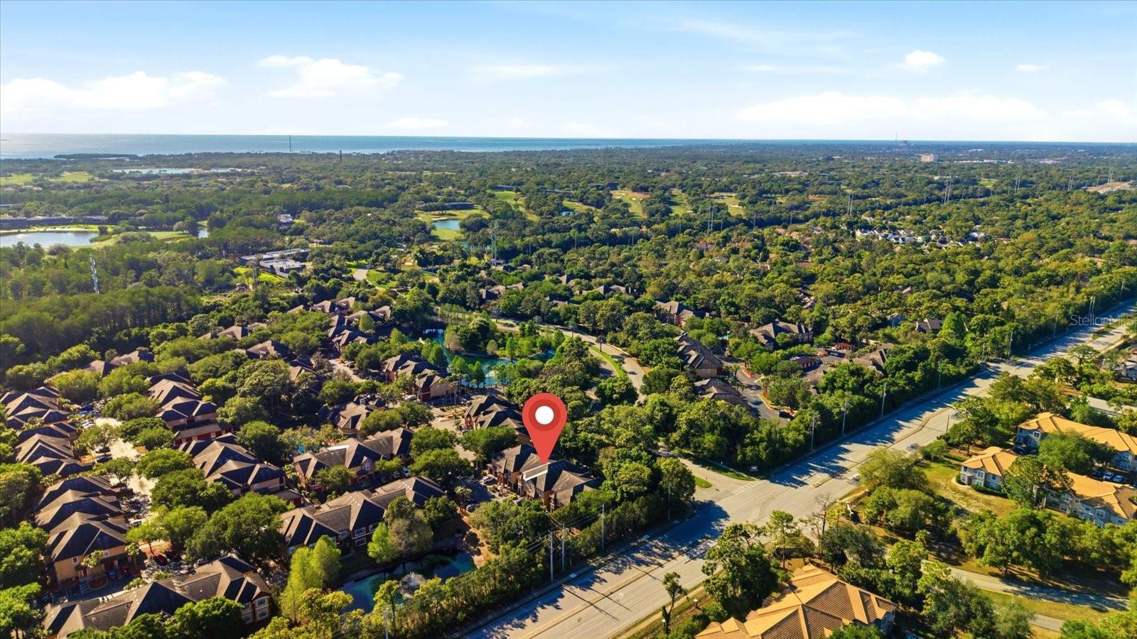 2295 TUSCANY TRCE #8, PALM HARBOR, FL, 34683