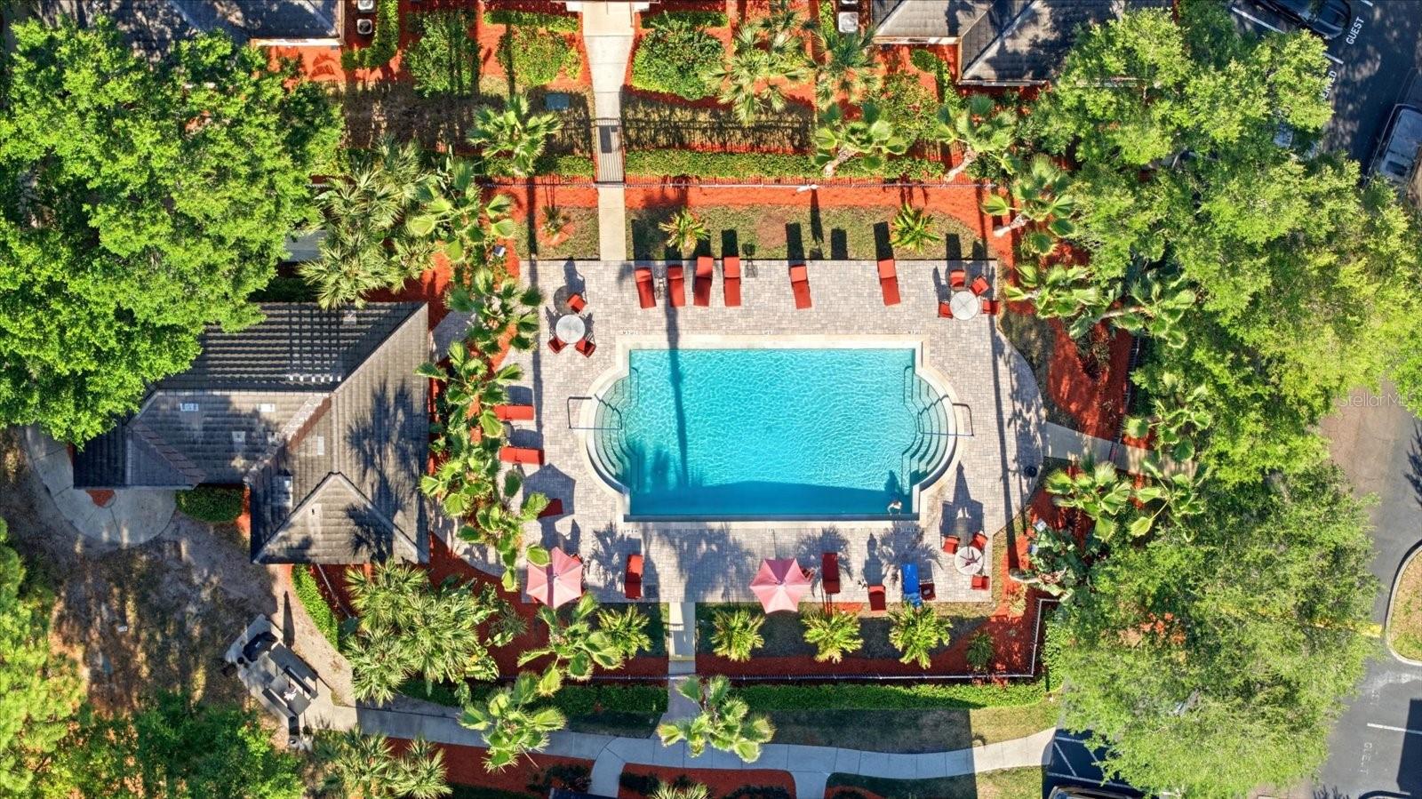 2295 TUSCANY TRCE #8, PALM HARBOR, FL, 34683