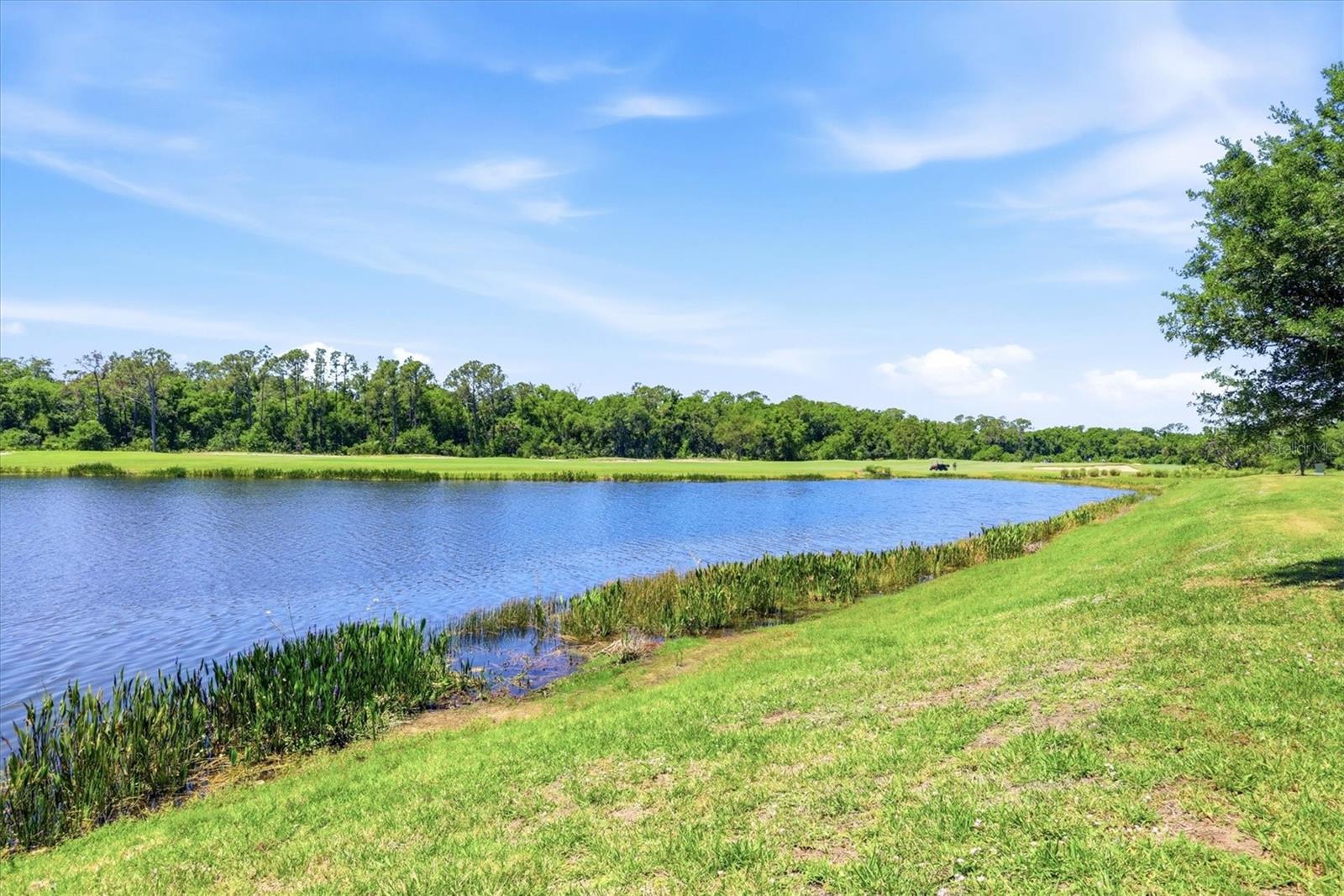 17626 GAWTHROP DR #208, BRADENTON, FL, 34211