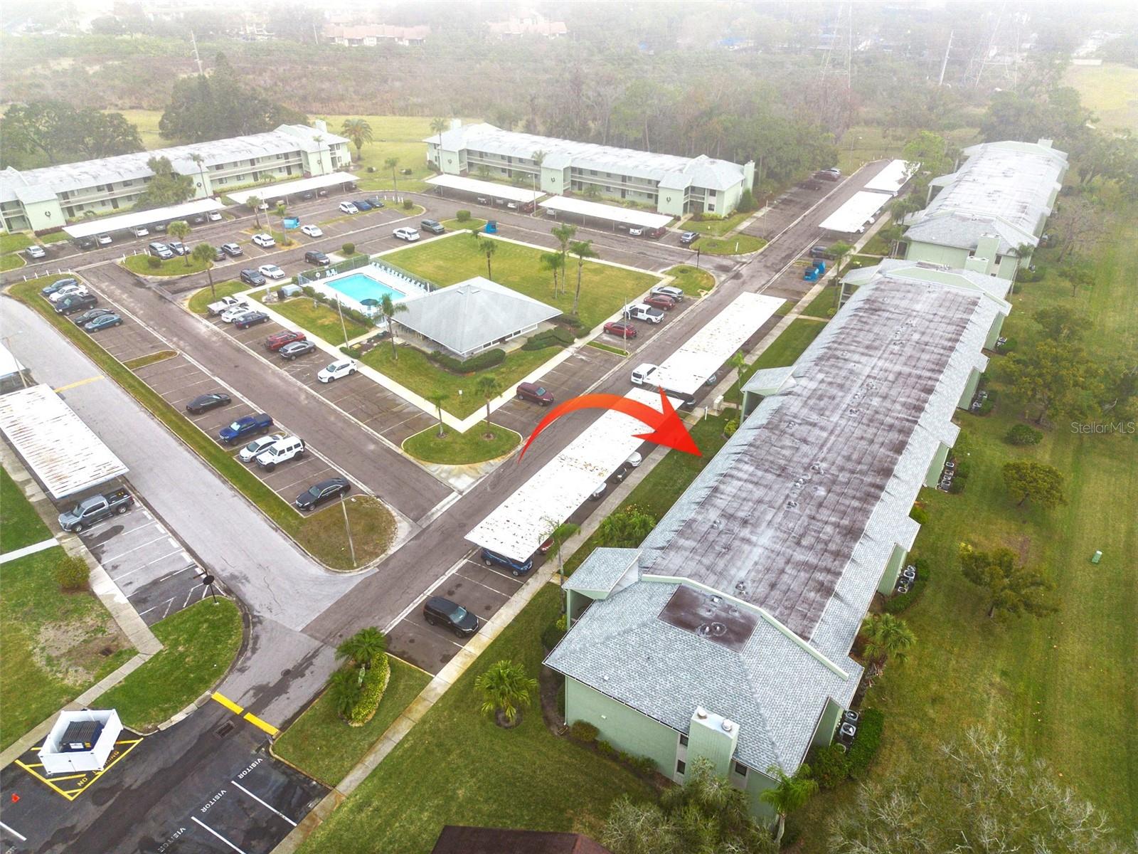 218 CARYL WAY, OLDSMAR, FL, 34677