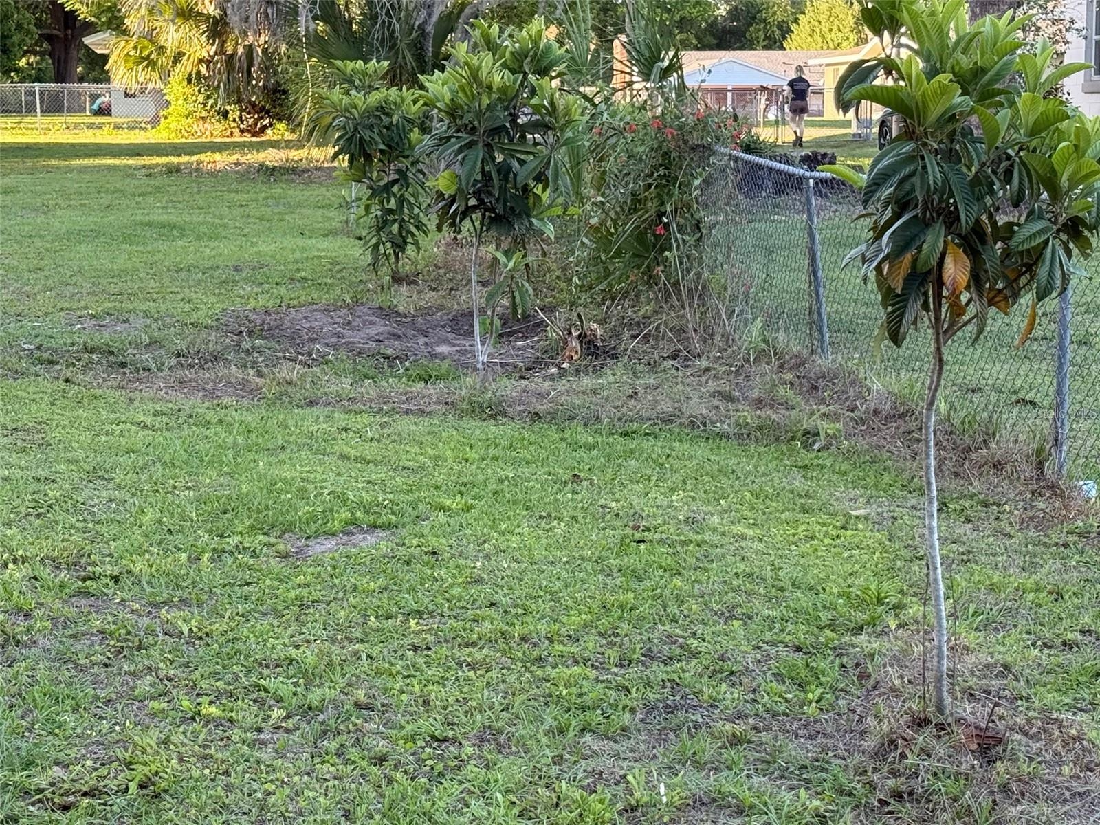 1044 NE 24TH ST, OCALA, FL, 34470