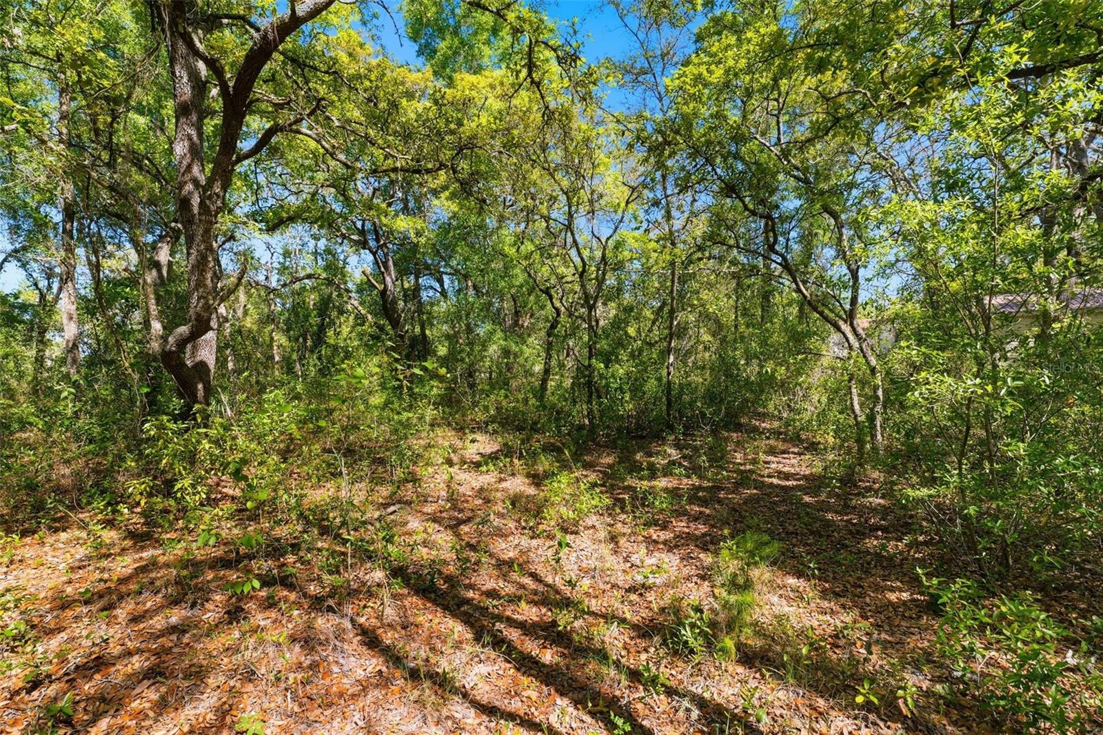 COYOTE RD, HUDSON, FL, 34669