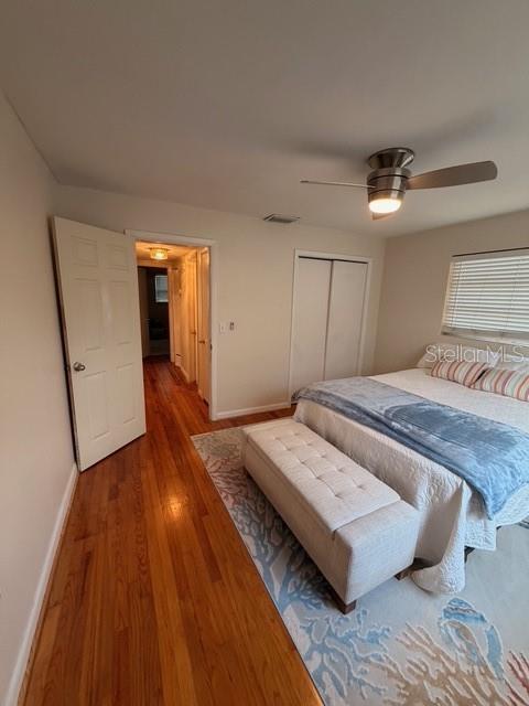 519 NORFOLK ST, DUNEDIN, FL, 34698